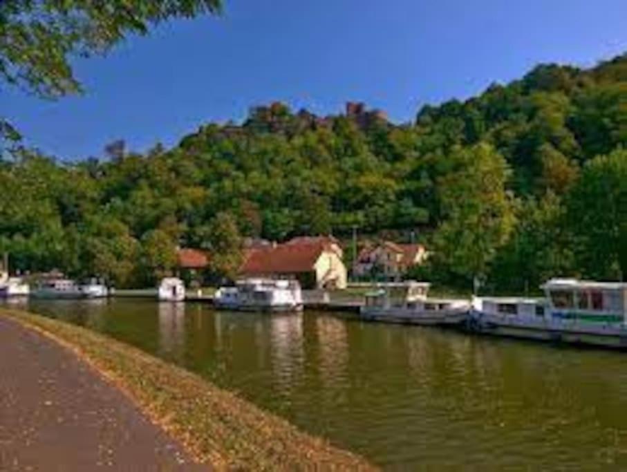 Nature, Charme, Confort, Avec Netflix Et Ps4 Lutzelbourg Exterior photo